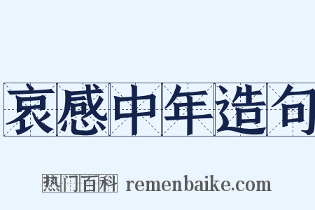 哀感中年造句是什么意思的图片